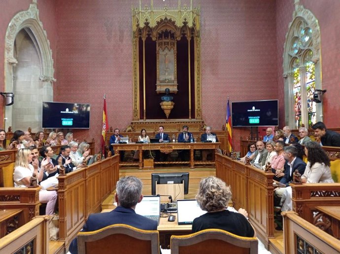 Pleno del Consell de Mallorca
