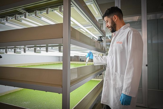 Archivo - Arxiu - AINIA genera un impacte social de 464 milions d'euros i redueix un 12 % la seua petjada de carboni