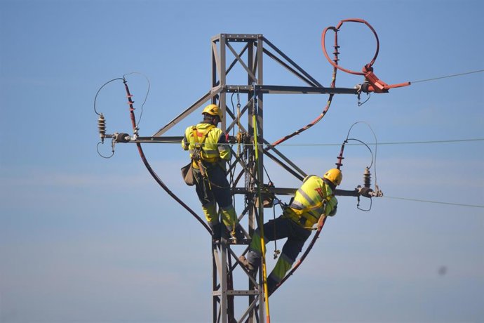 Endesa pone en marcha la cuarta edición del programa de FD Dual en redes de distribución