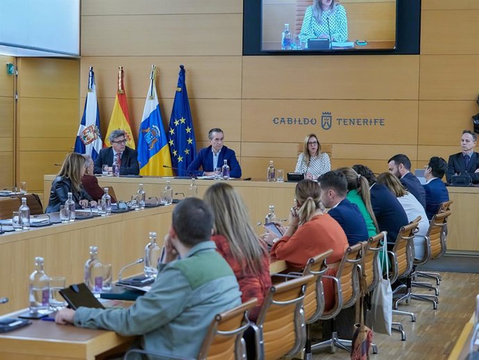 Archivo - Pleno extraordinario del Cabildo de Tenerife para debatir sobre el futuro del Estadio Heliodoro Rodríguez López