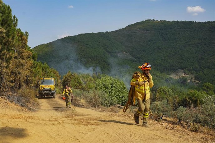 Varios bomberos colaboran en las labores de extinción del fuego, a 31 de julio de 2025, en La Dehesilla, Cáceres, Extremadura (España). 