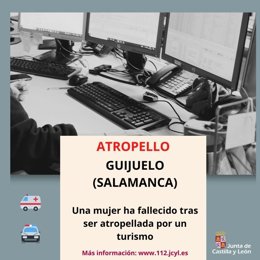 Gráfico elaborado por el 112 con datos del atropello mortal en la A-66