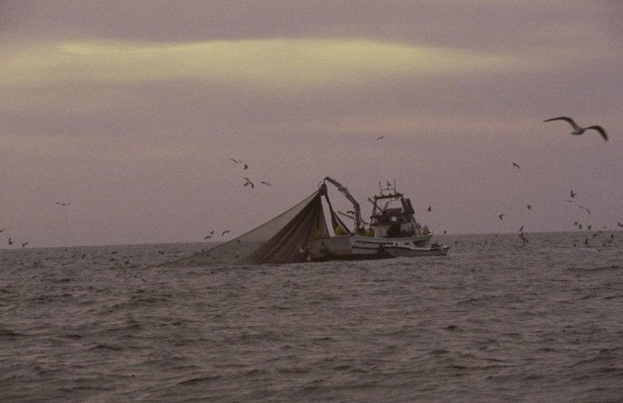 Archivo - UE.- La Junta reprocha al PSOE que "anteponga intereses políticos" a la defensa de la pesca del Golfo de Cádiz
