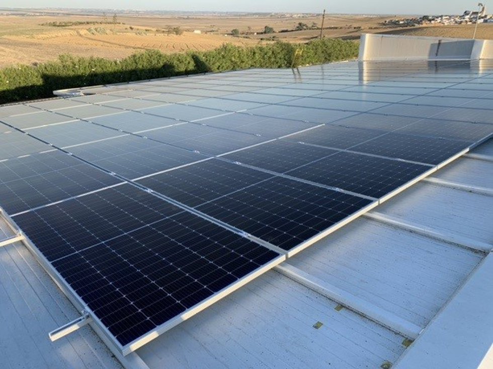 Comunidad solar de Iberdrola.
