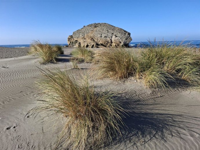 Vista de la duna de la playa Mónsul, uno de los enclaves del Parque Natural Cabo de Gata-Níjar (Almería).