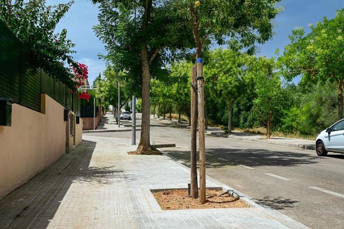 El Ayuntamiento de Palma renueva una veintena de alcorques en la calle Til·ler, en el barrio de Son Serra-La Vileta