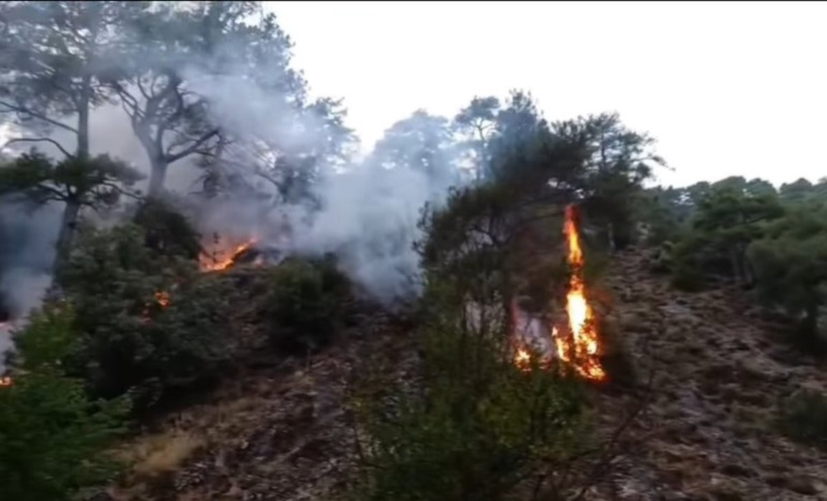 La llamada de un policía local de Cuenca fuera de servicio permite atajar un incendio en Los Palancares