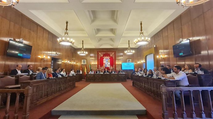 Un momento del Pleno de la Diputación de Zamora.