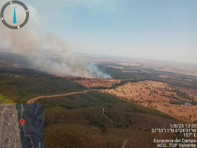 Incendio declarado en Escacena del Campo (Huelva).