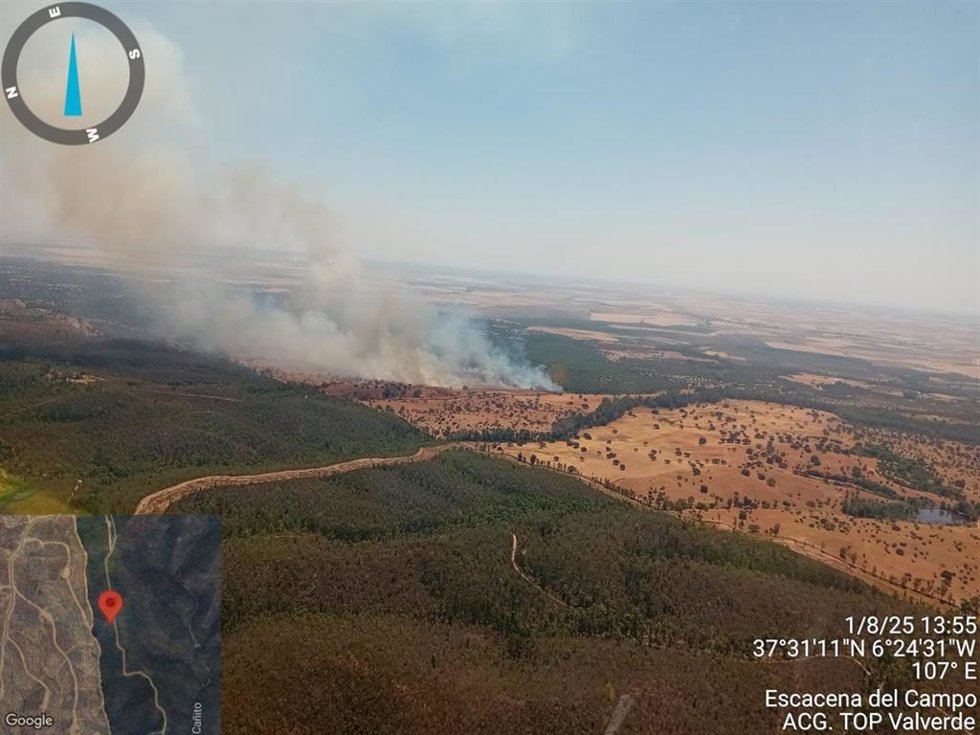 Incendio declarado en Escacena del Campo (Huelva).