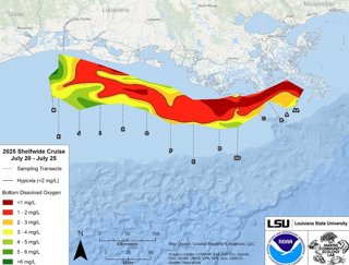 Imagen que muestra el mapa de la zona de hipoxia del Golfo medida, del 20 al 25 de julio de 2025. El área roja indica 2 mg/L de oxígeno o menos, el nivel que se considera hipóxico, en el fondo del lecho marino.