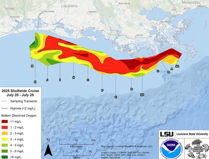Imagen que muestra el mapa de la zona de hipoxia del Golfo medida, del 20 al 25 de julio de 2025. El área roja indica 2 mg/L de oxígeno o menos, el nivel que se considera hipóxico, en el fondo del lecho marino.