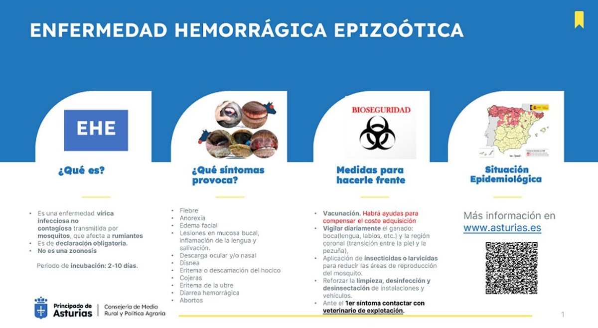 Asturias pide extremar medidas de bioseguridad en ganaderías ante enfermedades transmitidas por mosquitos en otras CCAA