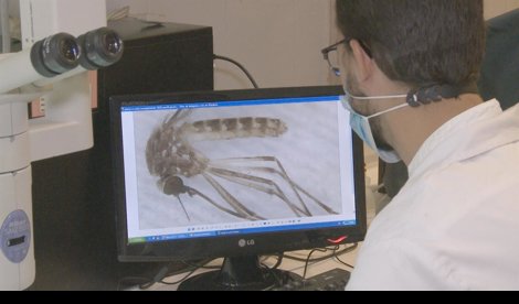 Es Andalucía - Sevilla