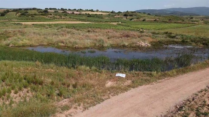Amigos de la Tierra La Rioja lanza un proyecto para recuperar la laguna de Hércanos