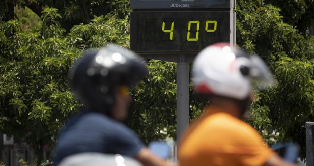 Medio Ambiente