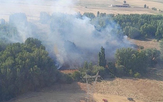 Medios aéreos y terrestres trabajan en un fuego con índice de gravedad 1 en Mayorga (Valladolid)