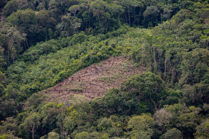 Archivo - Vista aérea del Amazonas en la frontera entre Brasil y Colombia