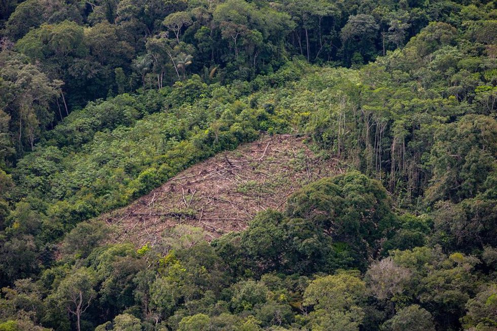 Archivo - Vista aérea del Amazonas en la frontera entre Brasil y Colombia