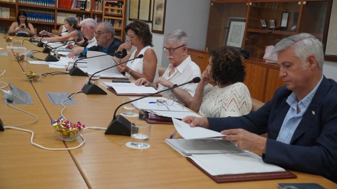 Imagen del pleno de julio 2025 del Consell Valencià de Cultura (CVC).