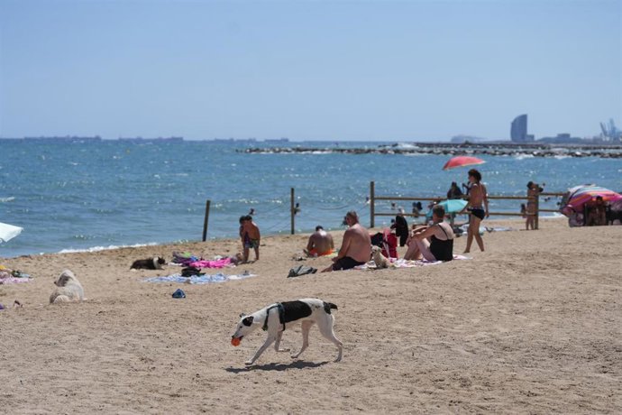 Playa barcelonesa de Llevant este verano
