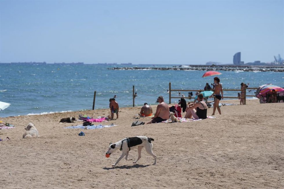 Playa barcelonesa de Llevant este verano