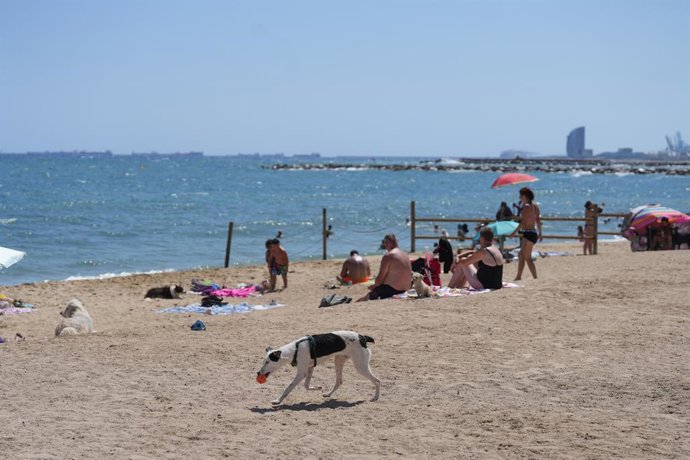 Platja barcelonina de Llevant aquest estiu