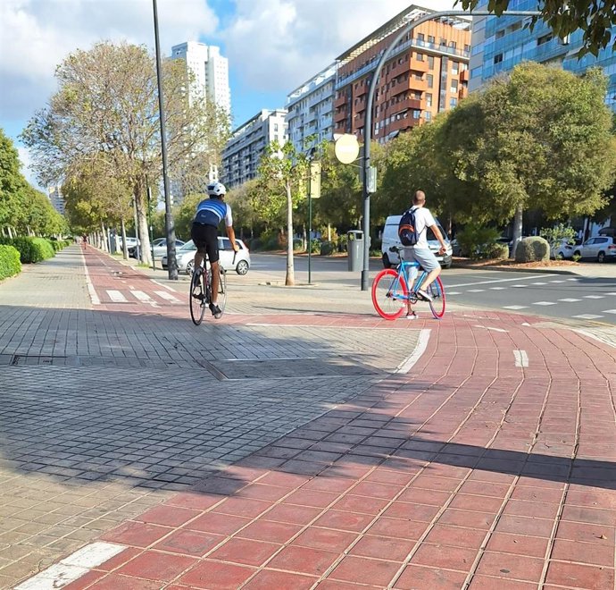 Compromís denuncia que el carril bici de la Alameda presenta "graves desperfectos que generan peligros"