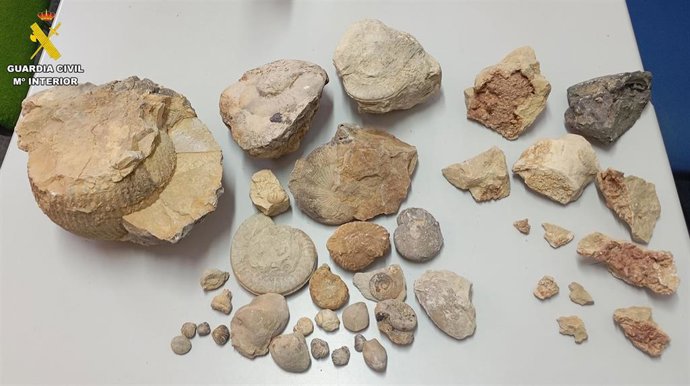 Minerales y fósiles hallados por la Guardia Civil en un caso de expolio del patrimonio natural.