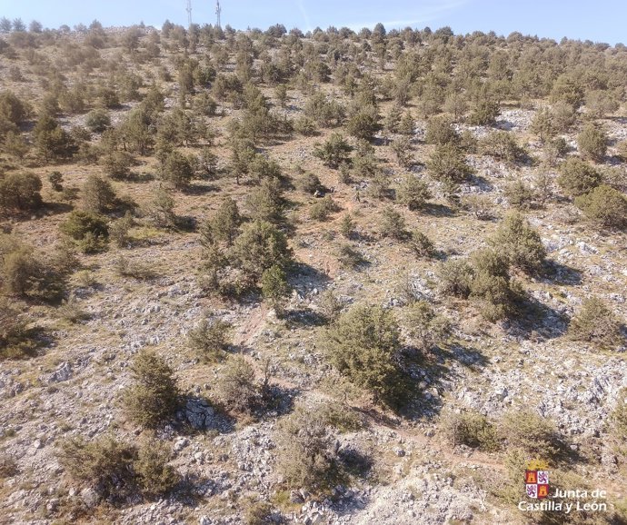 Imagen de la zona en la que se realizó el rescate del ciclista herido en Burgos