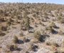 Rescatado un ciclista tras lesionarse el hombro en una zona inaccesible en la Loma de Santa Bárbara