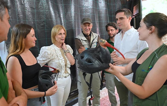 Archivo - La alcaldesa de Jerez de la Frontera, María José García-Pelayo, en una visita al Centro de Conservación de la Biodiversidad Zoobotánico Jerez y el proyecto de reintroducción del ibis eremita.