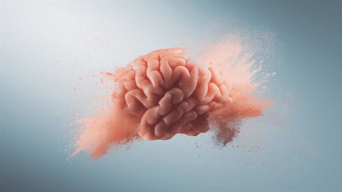 Cerebro.