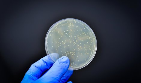 Investigación