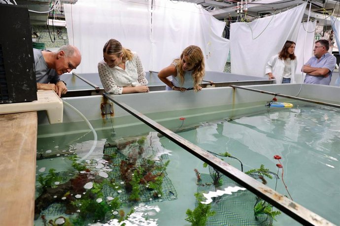 La presidenta del Govern, Marga Prohens, en un momento de la visita.