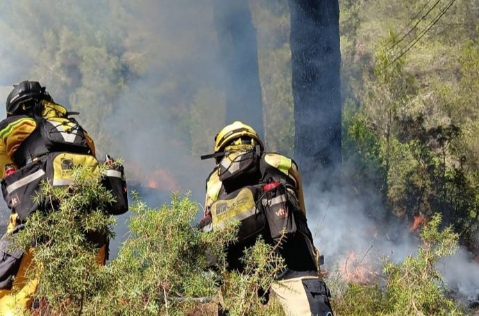 Efectivos en el incendio forestal de este lunes en Santa Eulària