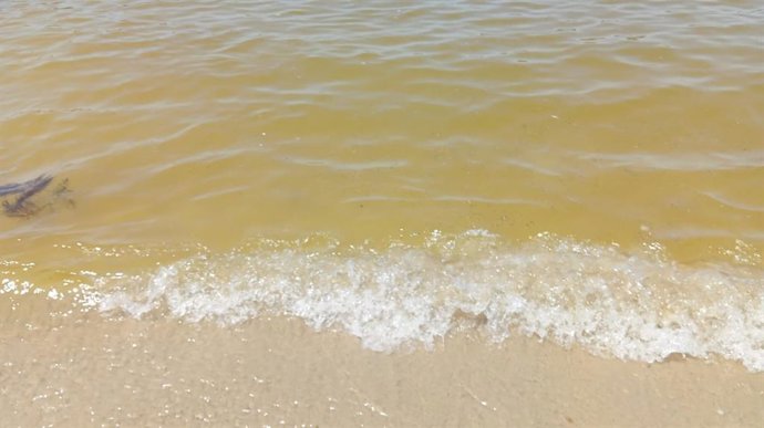 Marea vermella en Sanxenxo