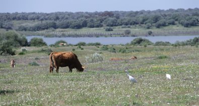 Es Andalucía - Huelva