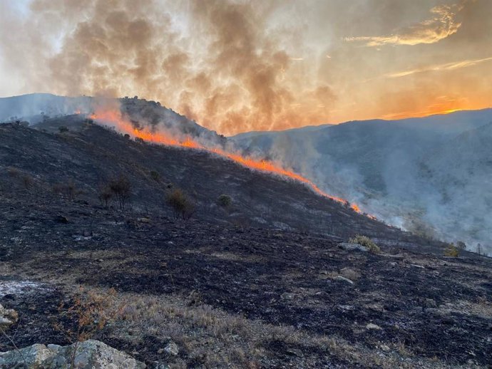 El momento del incendio que afectó al monte en Valdeperillo