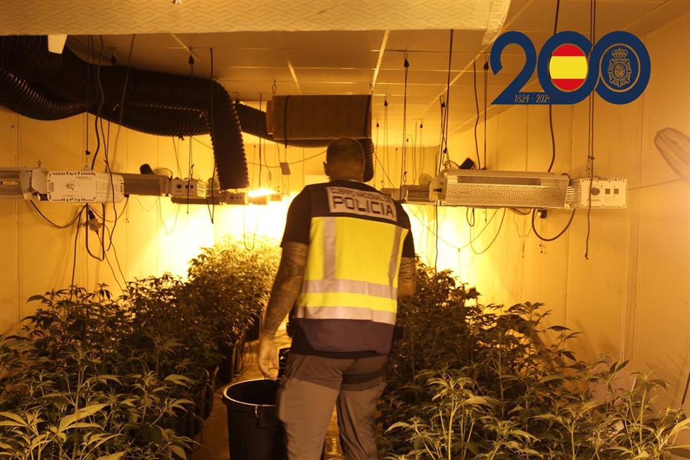 Operación de la Policía Nacional para localizar tres plantaciones de marihuana situadas en dos naves en el polígono industrial de Alcantarilla y en la pedanía murciana de La Alberca, así como en una vivienda de El Palmar (Murcia)