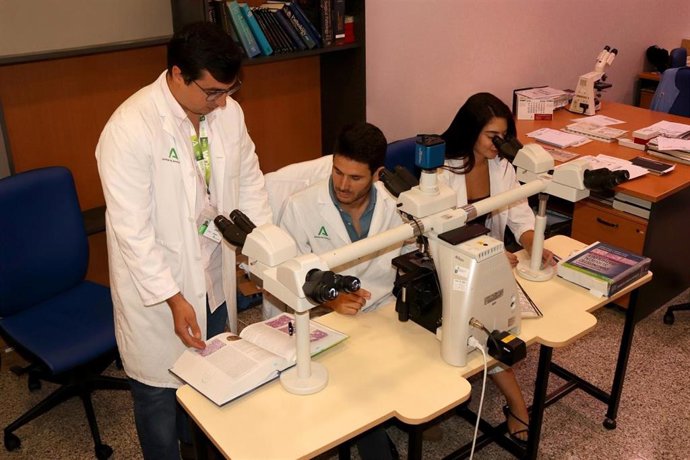 Los investigadores del Hospital Universitario Virgen Macarena premiados por su investigación sobre los biomarcadores y factores clínicos determinantes en la evolución de tumores paratiroideos.