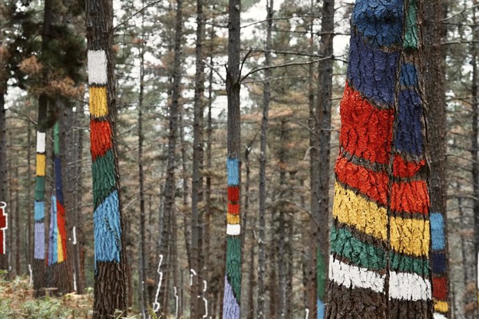 Archivo - Omako Basoa