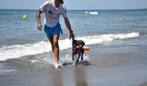 Es Andalucía - Málaga