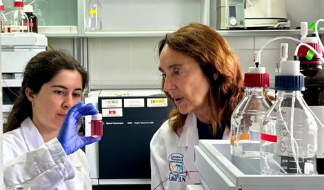 Investigación