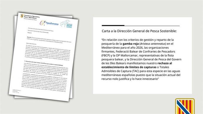 El Govern y el sector pesquero trasladan al Ministerio su desacuerdo con la cuota de la gamba roja fijada por Europa.