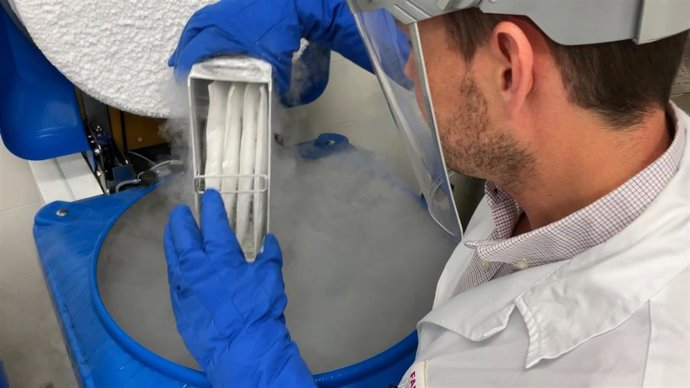 El Hospital La Fe incorpora un nuevo tratamiento con células CAR-T para pacientes con mieloma múltiple