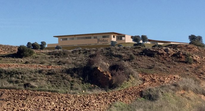 Bodega Protos