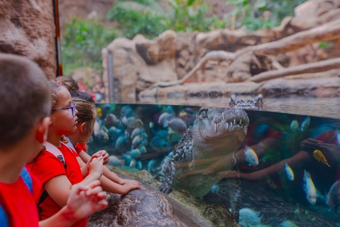 Escolares visitando uno de los centros del Grupo Loro Parque