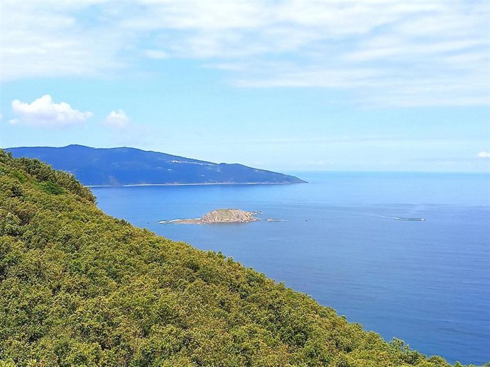 Archivo - Urdaibai (Bizkaia)