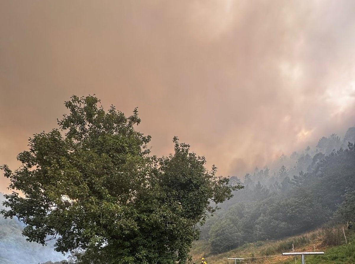 El SEPA da por controlado el incendio de La Zoreda (Villayón), mientras trabaja en otros cinco fuegos en Asturias